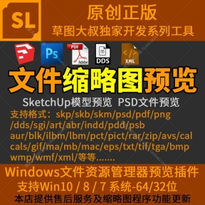 ͼԤ ֧SUͼʦSKPģ PSD PDF PDD SGI DDS